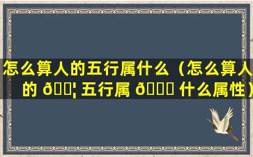 怎么算人的五行属什么（怎么算人的 🐦 五行属 🐈 什么属性）